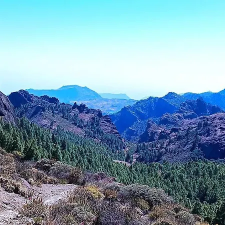 Capri Maspalomas Lejlighed *